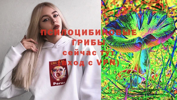 амф Арсеньев