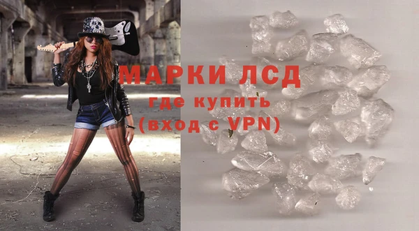 гашик Аркадак