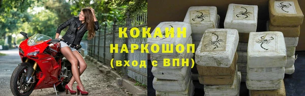 гашик Аркадак