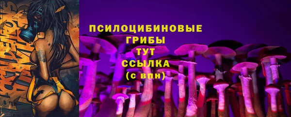 амф Арсеньев