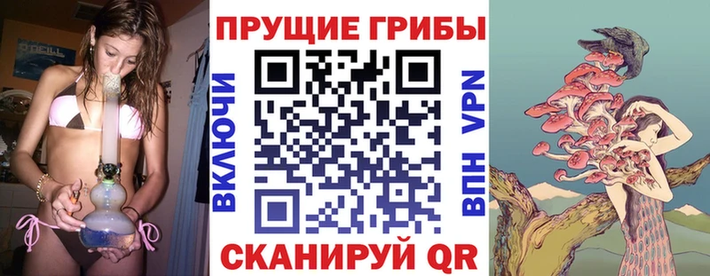 Псилоцибиновые грибы Magic Shrooms  Снежинск 