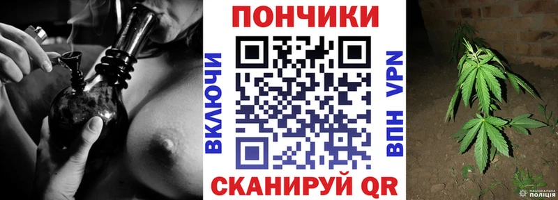 купить закладку  Снежинск  Бошки марихуана THC 21% 